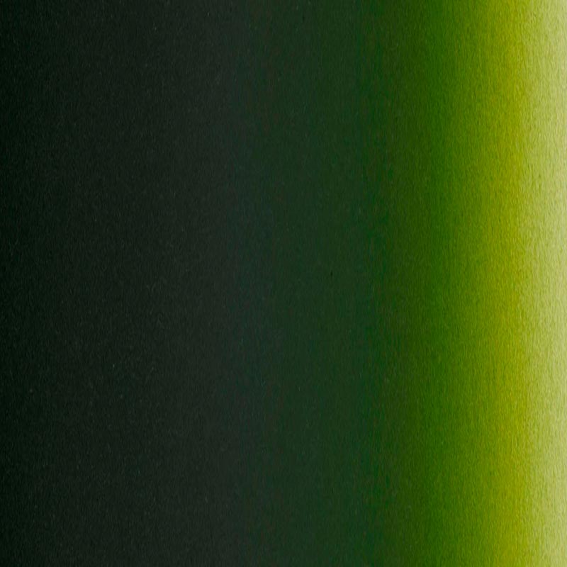 Createx Illustration 5065 Moss Green 240 ml